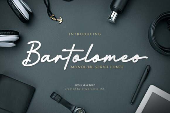 Bartolomeo: A Timeless Script Handwritten Font for Web Designers